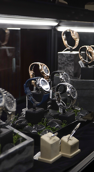 Unveiling the Alpine Eagle